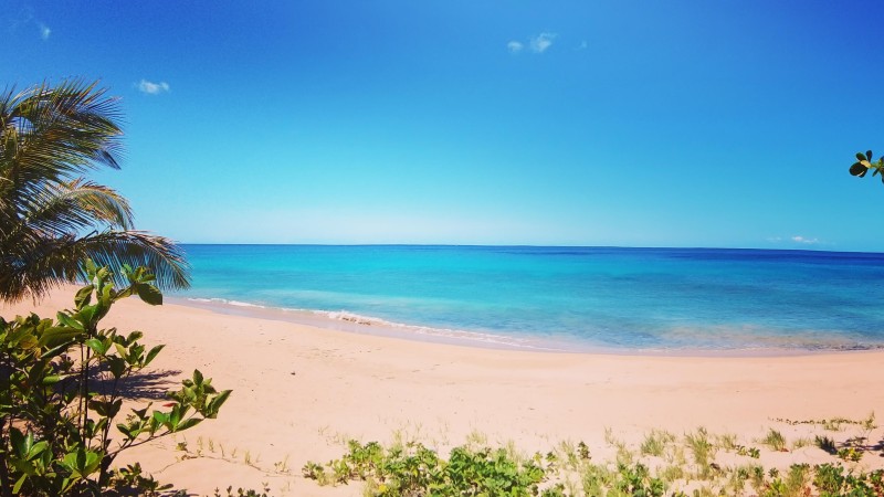 Duplex Tortue Kawane